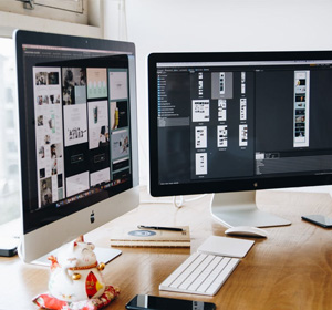 Vincent — VP Web Development